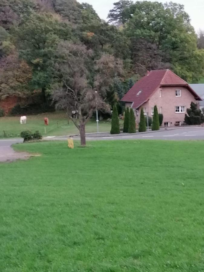 Ferienwohnung Eva Mechernich Luaran gambar